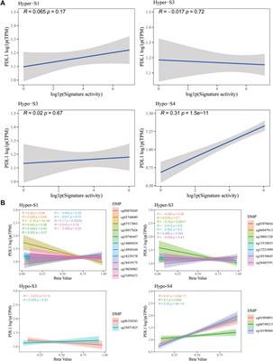 DNA methylation signatures provide novel diagnostic biomarkers and predict responses of immune therapy for breast cancer